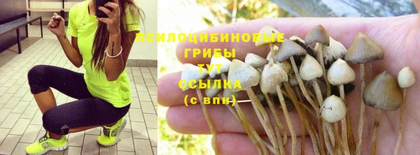 mdpv Рославль