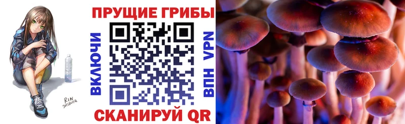 Псилоцибиновые грибы мицелий  купить закладку  гидра вход  Суоярви 